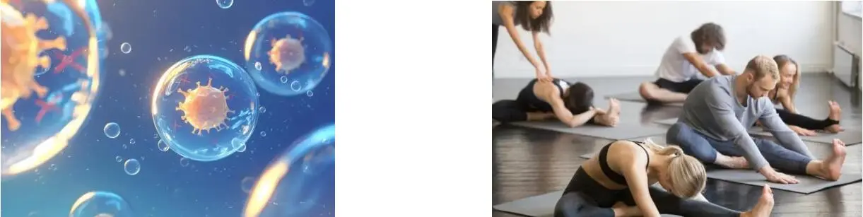 BETA CAROTENE POWDER BETA CAROTENE POWDER