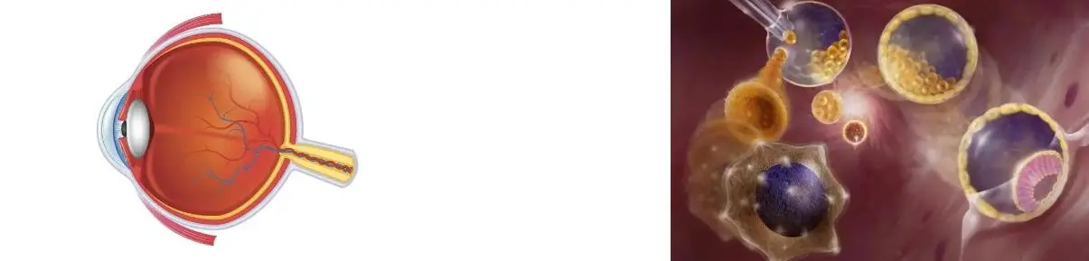 LUTEIN POWDER LUTEIN POWDER