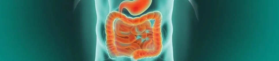 Fish Collagen Peptide Powder Fish Collagen Peptide Powder