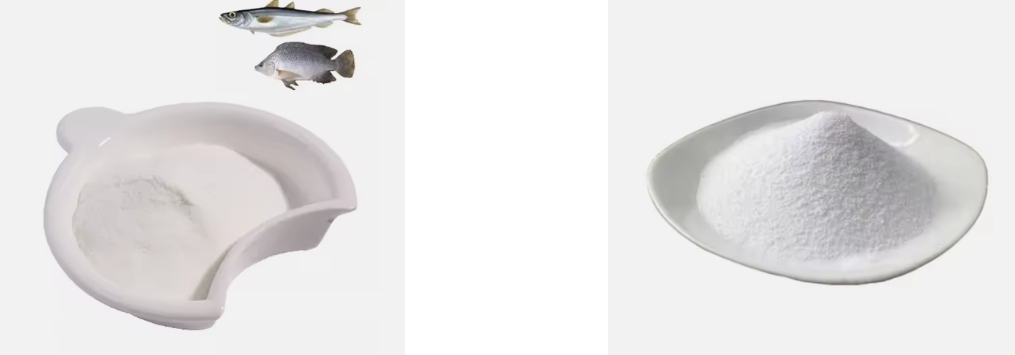 Fish collagen peptide powder Fish collagen peptide powder