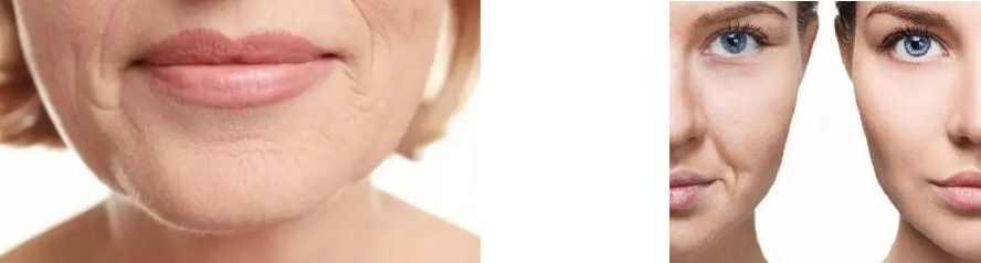 fish collagen peptide powder fish collagen peptide powder