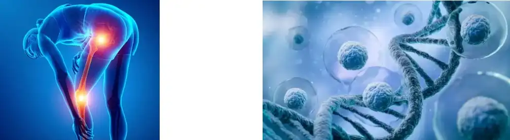 fish collagen peptide powder fish collagen peptide powder