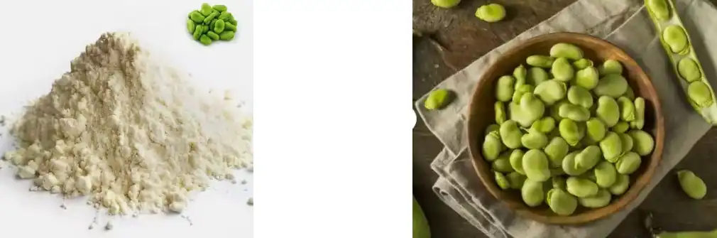 fava bean protein powder fava bean protein powder