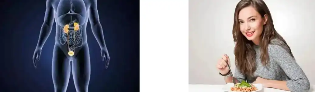 Fava bean protein powder Fava bean protein powder