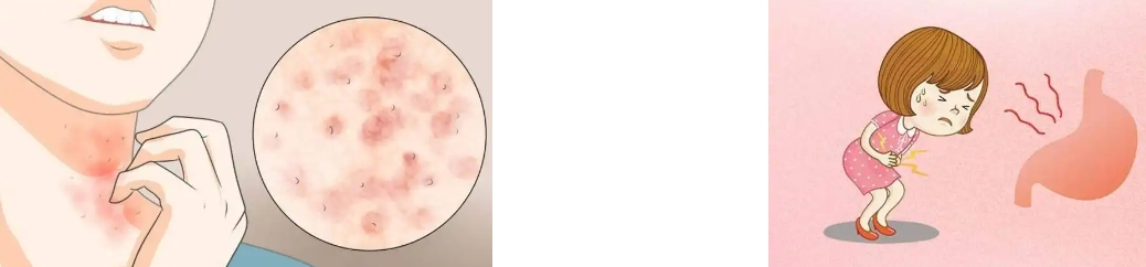 Fava bean protein powder Fava bean protein powder