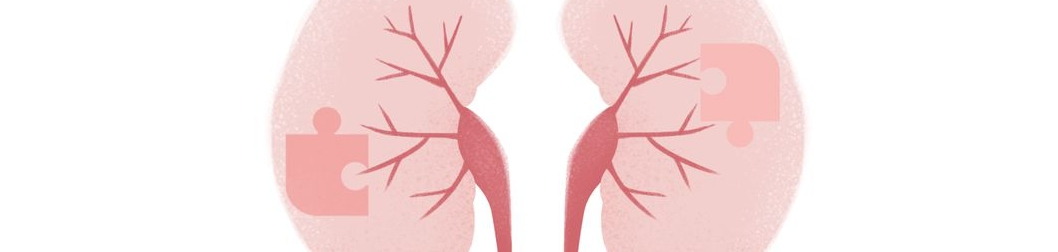 fava bean protein powder fava bean protein powder