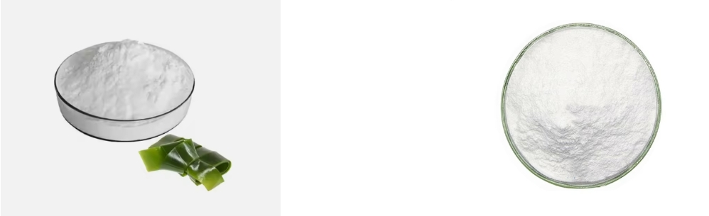 POL DE FUCOIDÁN POL DE FUCOIDÁN