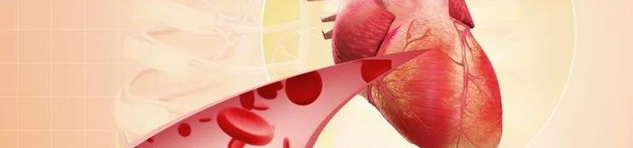 POL DE FUCOIDÁN POL DE FUCOIDÁN