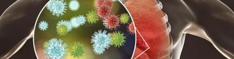 POL DE FUCOIDÁN POL DE FUCOIDÁN