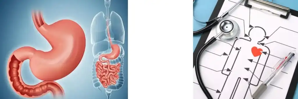 POL DE FUCOIDÁN POL DE FUCOIDÁN