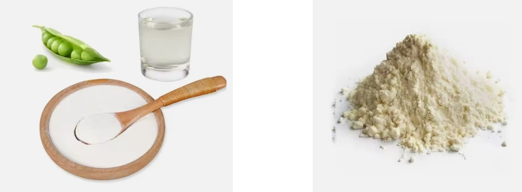 fava bean protein powder fava bean protein powder