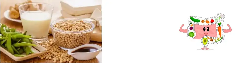 fava bean protein powder fava bean protein powder