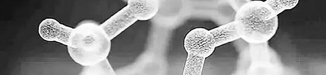 fava bean protein powder fava bean protein powder