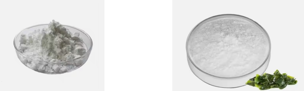 Fucoidan powder Fucoidan powder