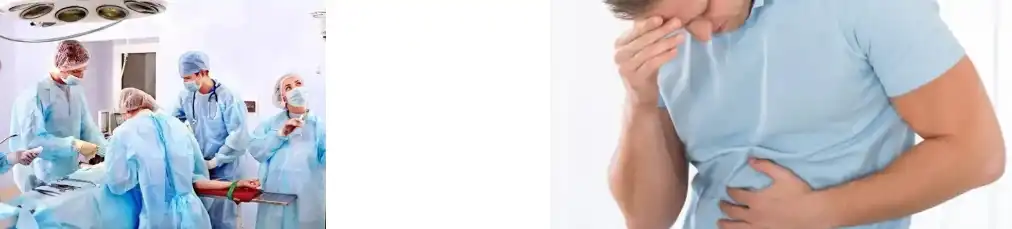 fucoidan powder fucoidan powder