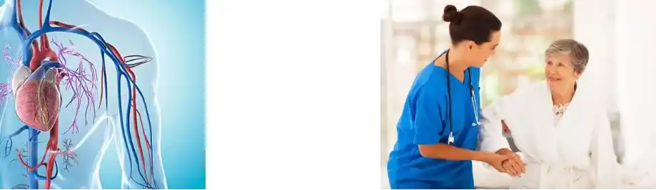 fucoidan powder fucoidan powder