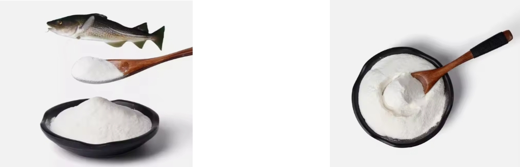 FISH COLLAGEN PEPTIDE FISH COLLAGEN PEPTIDE