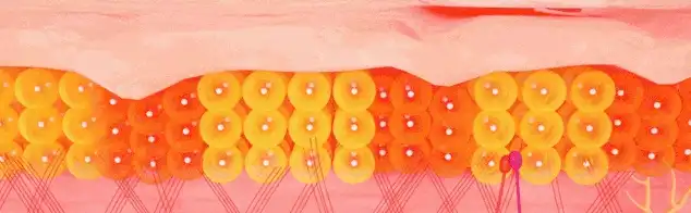 FISH COLLAGEN PEPTIDE FISH COLLAGEN PEPTIDE