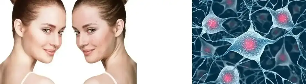 FISH COLLAGEN PEPTIDE FISH COLLAGEN PEPTIDE