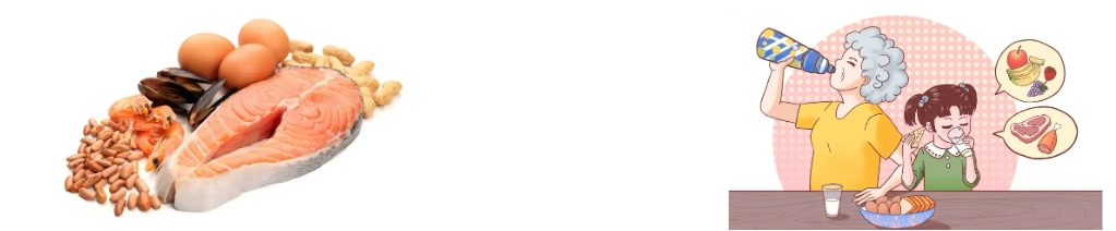 Fava Bean Protein Powder Fava Bean Protein Powder