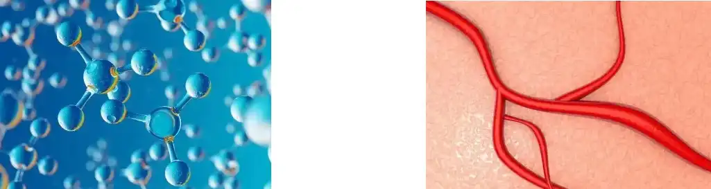 FUCOIDAN POWDER FUCOIDAN POWDER