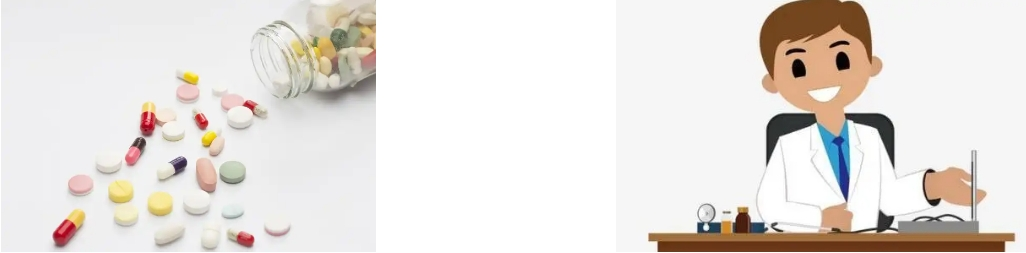 FUCOIDAN POWDER FUCOIDAN POWDER