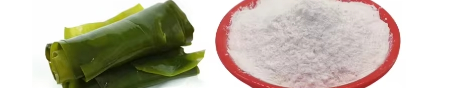 FUCOIDAN POWDER