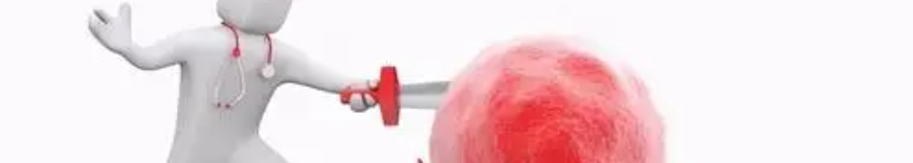 Fucoidan powder Fucoidan powder