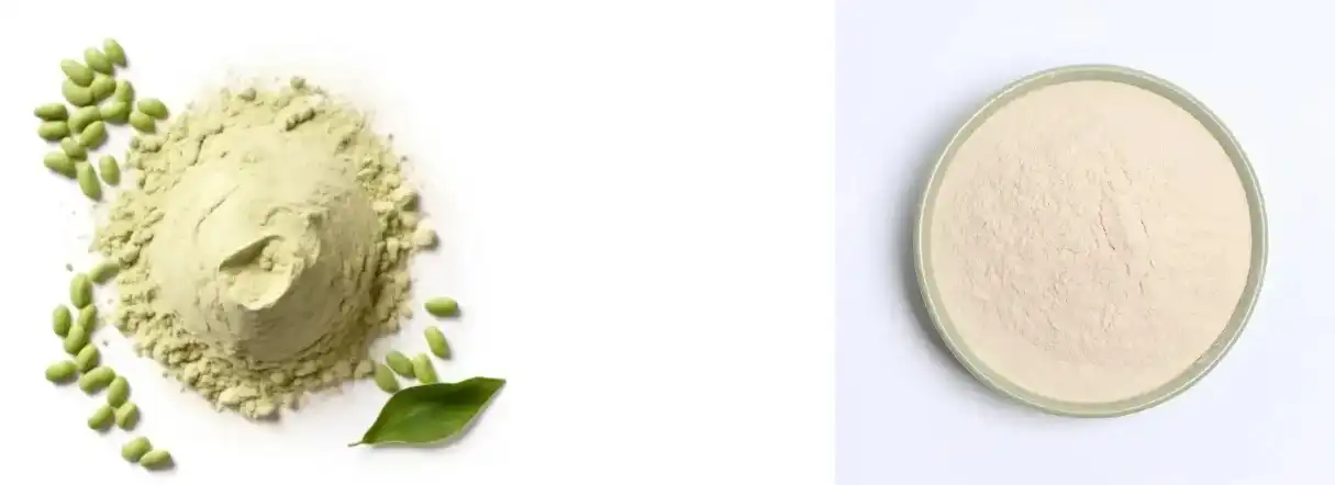 FAVA BEAN PROTEIN POWDER FAVA BEAN PROTEIN POWDER