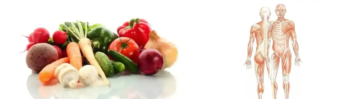 FAVA BEAN PROTEIN POWDER FAVA BEAN PROTEIN POWDER