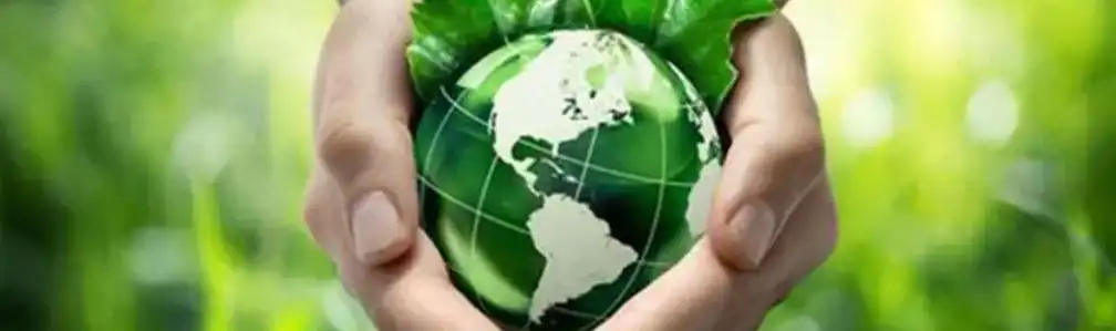 FAVA BEAN PROTEIN POWDER FAVA BEAN PROTEIN POWDER