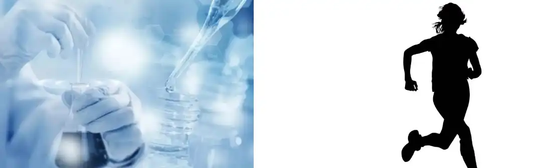 FAVA BEAN PROTEIN POWDER FAVA BEAN PROTEIN POWDER