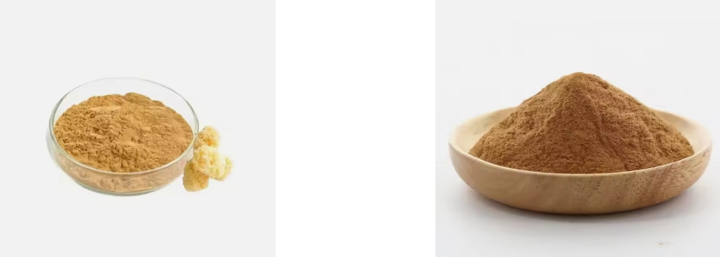 TREMELLA FUCIFORMIS EXTRACT TREMELLA FUCIFORMIS EXTRACT