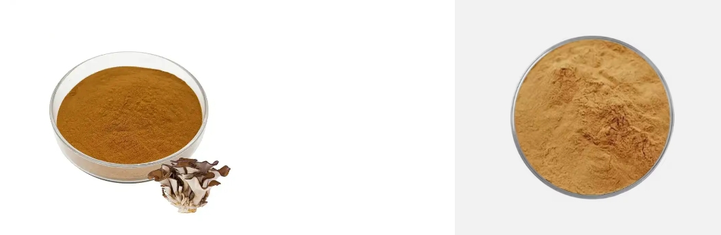 MAITAKE EXTRACT MAITAKE EXTRACT