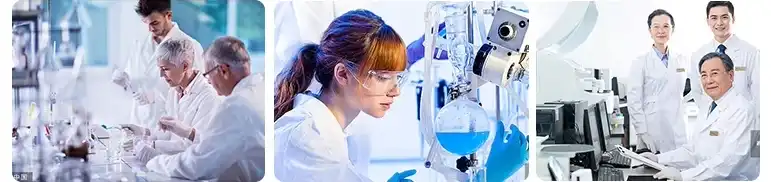 MAITAKE EXTRACT MAITAKE EXTRACT