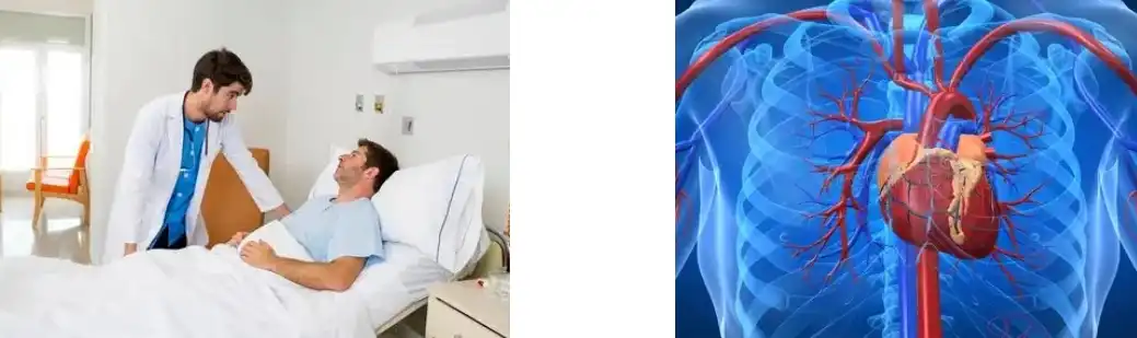 MAITAKE EXTRACT MAITAKE EXTRACT