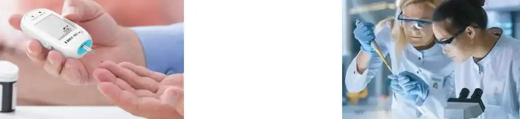 STEVIA EXTRACT POWDER STEVIA EXTRACT POWDER