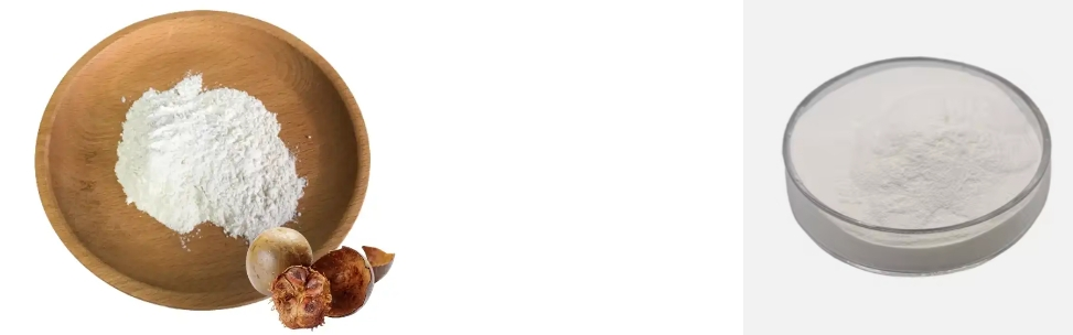 Monk Fruit Extract Powder Monk Fruit Extract Powder