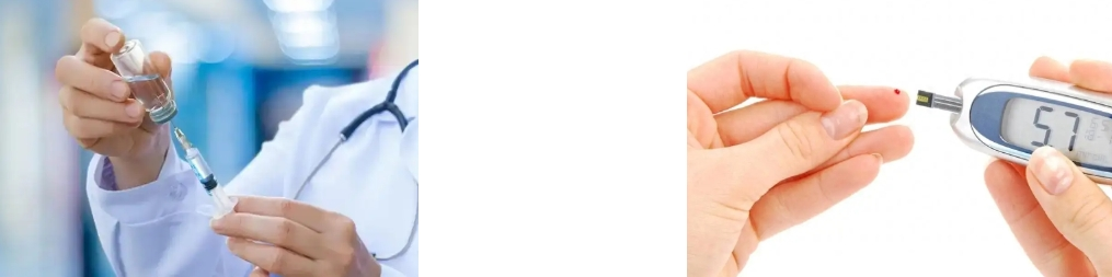 Monk Fruit Extract Powder Monk Fruit Extract Powder