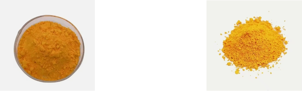 COENZIMA Q10 EN POL COENZIMA Q10 EN POL