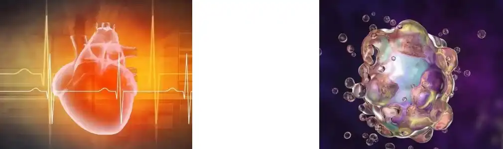 COENZIMA Q10 EN POL COENZIMA Q10 EN POL