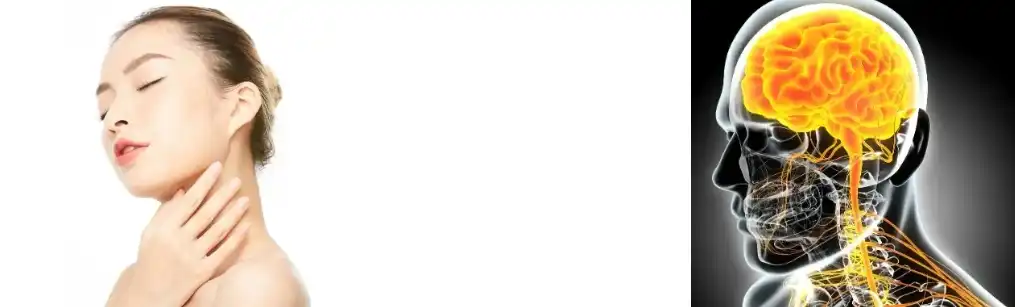 COENZIMA Q10 EN POL COENZIMA Q10 EN POL