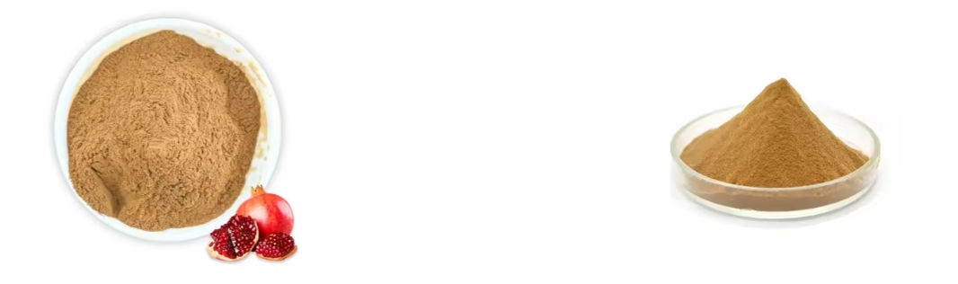 Pomegranate Peel Extract Powder Pomegranate Peel Extract Powder