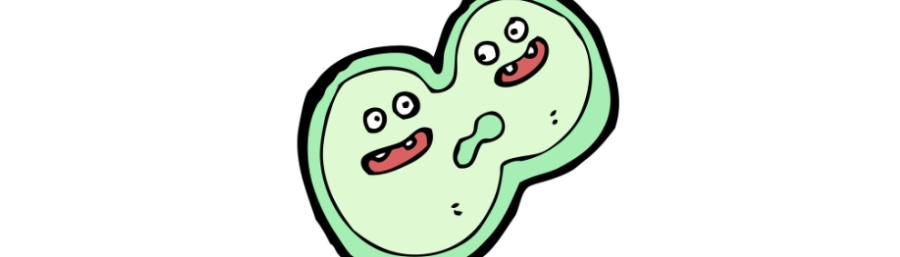 Pomegranate Peel Extract Powder Pomegranate Peel Extract Powder