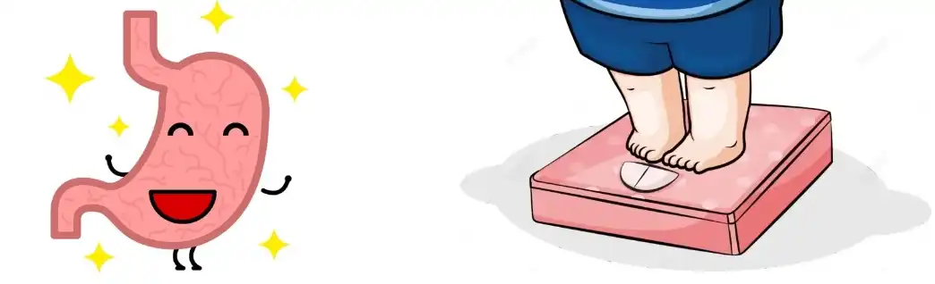 Pomegranate Peel Extract Powder Pomegranate Peel Extract Powder