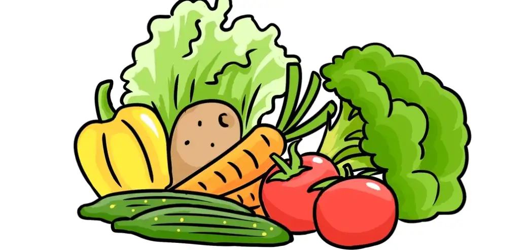 Pomegranate Peel Extract Powder Pomegranate Peel Extract Powder