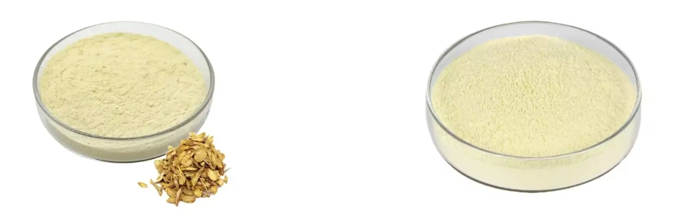 Scutellaria Baicalensis Extract Scutellaria Baicalensis Extract