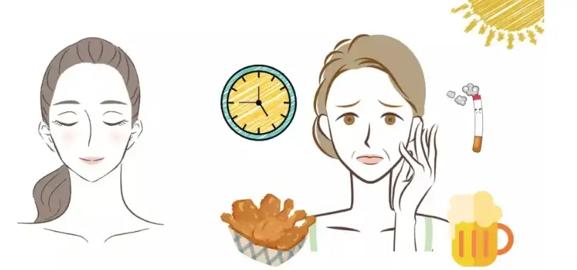 Scutellaria Baicalensis Extract Scutellaria Baicalensis Extract