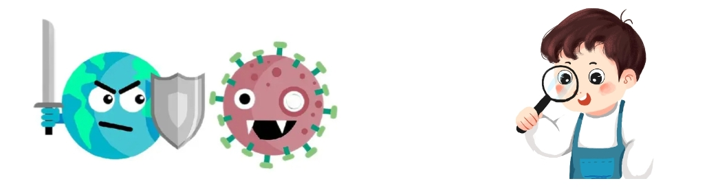 Scutellaria Baicalensis Extract Scutellaria Baicalensis Extract