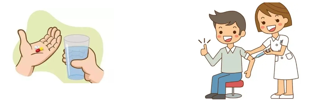 Scutellaria Baicalensis Extract Scutellaria Baicalensis Extract